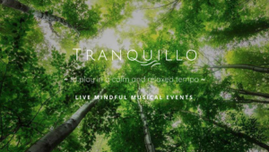 Tranquillo Live Mindful Musical Events